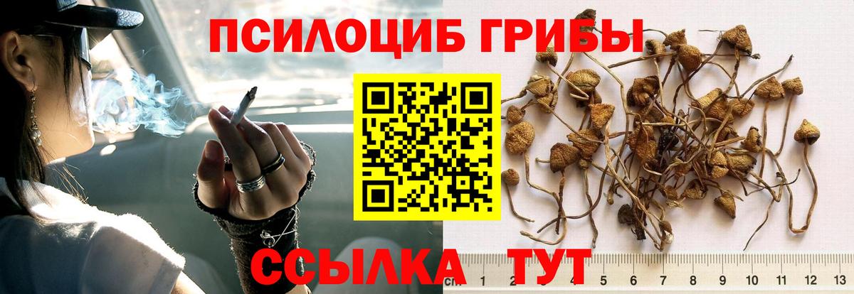 Псилоцибиновые грибы Magic Shrooms Геленджик