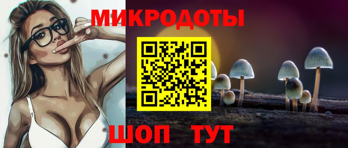 Галлюциногенные грибы Cubensis  Вход с VPN  Геленджик  Галлюциногенные грибы Psilocybine cubensis 